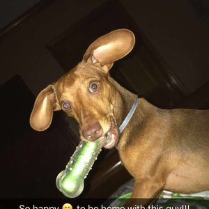 Meet your Posher, Connie